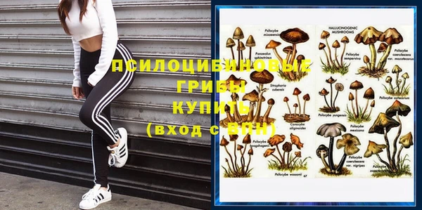 дмт Гусев