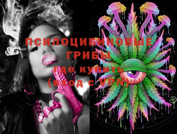 прущая мука Гусиноозёрск