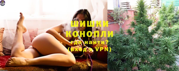 дмт Гусев