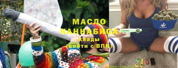 дмт Гусев