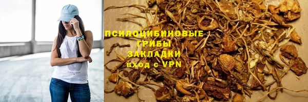 прущая мука Гусиноозёрск