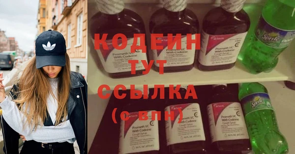 дмт Гусев
