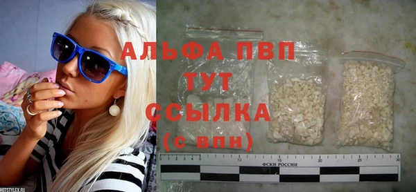 дмт Гусев